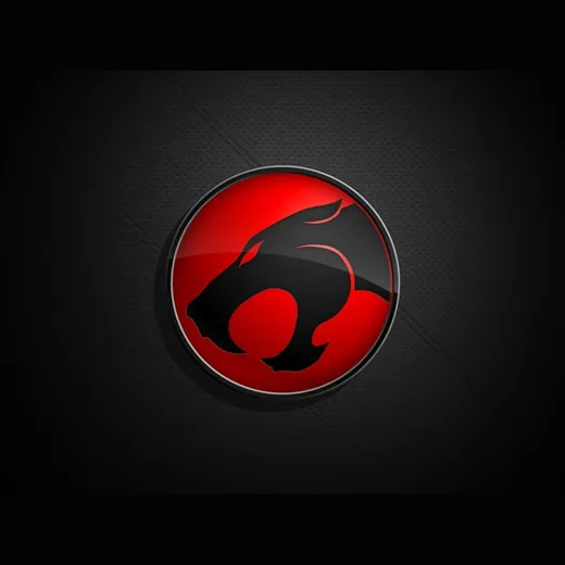 ThunderCats collection
